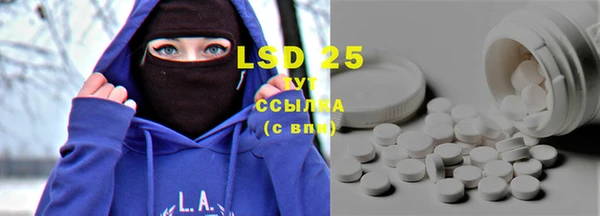 прущие крисы Инта