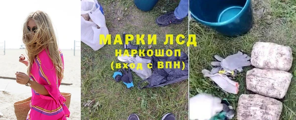 прущие крисы Инта