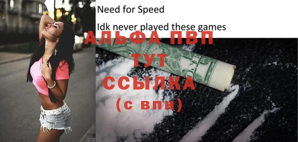 шишки Тында